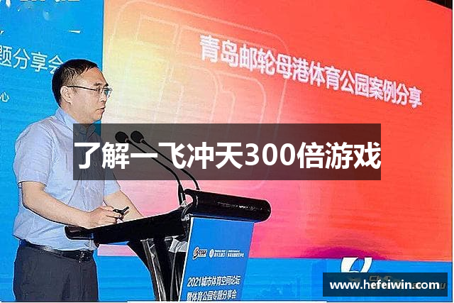 了解一飞冲天300倍游戏